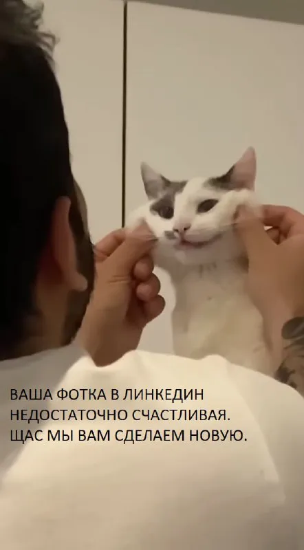 Новая фотография для LinkedIn