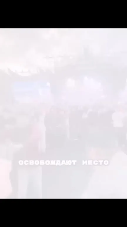 Самый глобальный мошпит