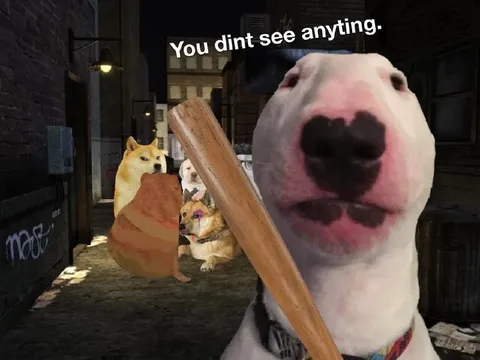 You dint see anyting