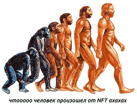Человек произошел от NFT