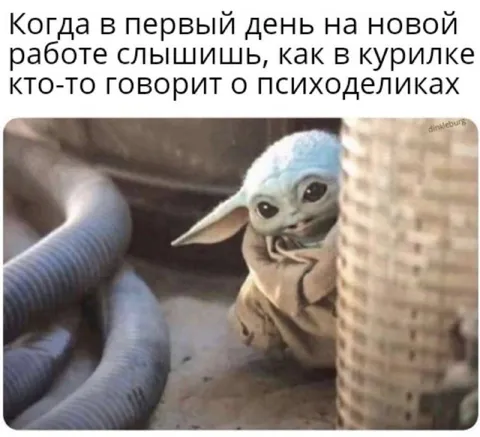 Психоделики в курилке