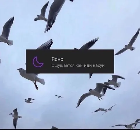 Ясно, ощущается как иди нахуй