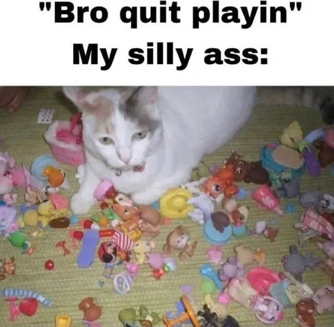 Cat Refuses to Stop Playing