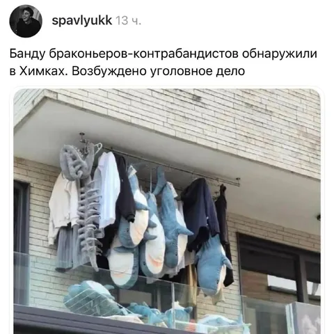 Банду браконьеров нашли в Химках