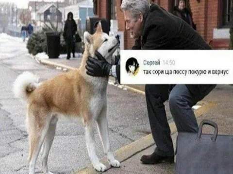 Ща поссу, покурю и вернусь