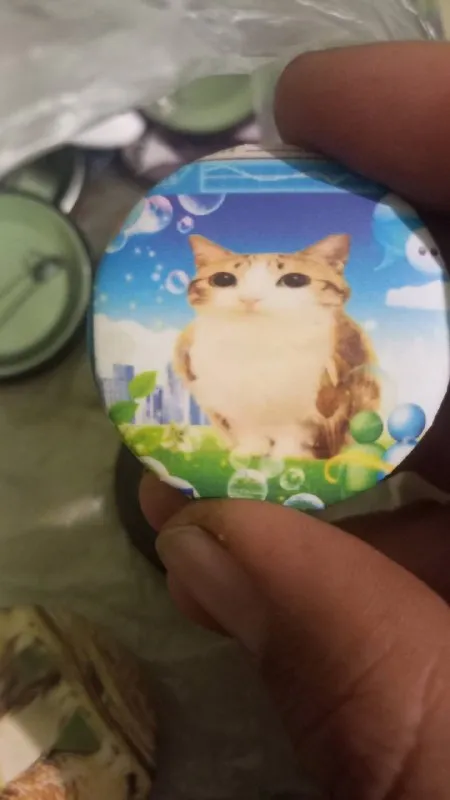 Кот на круглой кнопке