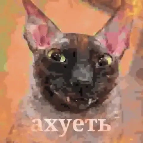 Кот в шоке от взрыва
