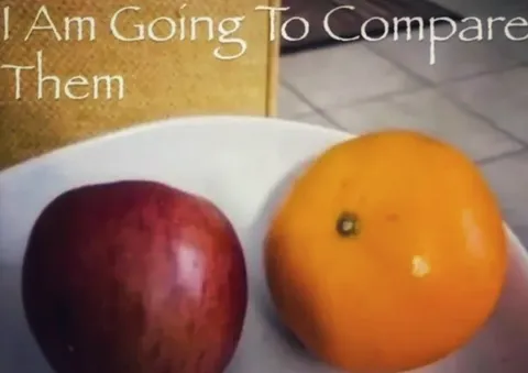Apple and Orange Comparison
