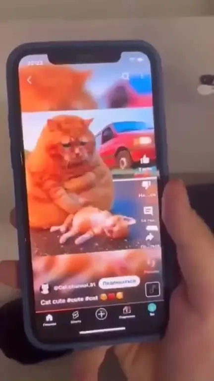 Cat Video Makes Him Cry
