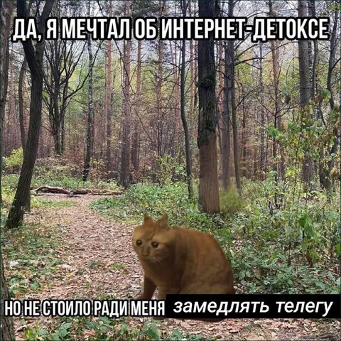 Интернет-детокс с замедленной телегой