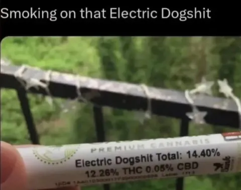 Smoking Electric Dogshit
