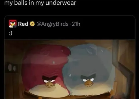 My Balls in My Underwear
