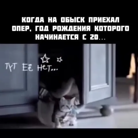 Опер ищет кота 2000-х