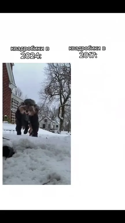 Квадробики тогда и сейчас