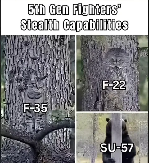 5th Gen Fighters’ Stealth Capabilities