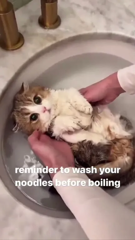 Wash Your Noodles Before Boiling