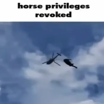 Horse Privileges Revoked