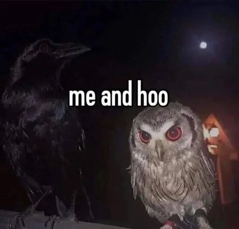 Me and Hoo Owls