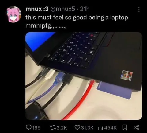 Laptop Cable Pleasure