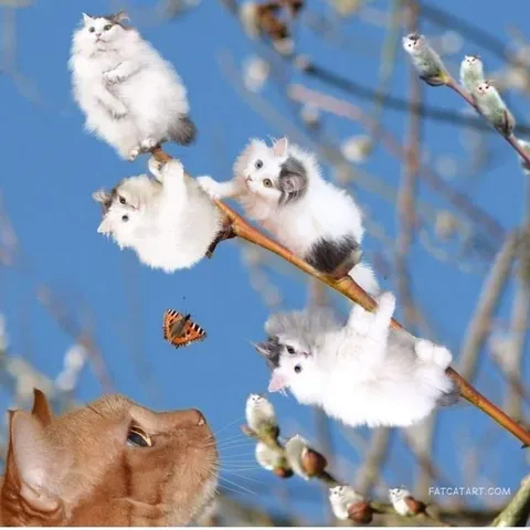 Коты на ветках и бабочка