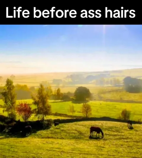 Life Before Ass Hairs
