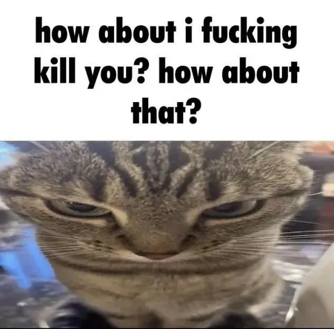 Fucking Kill You Cat