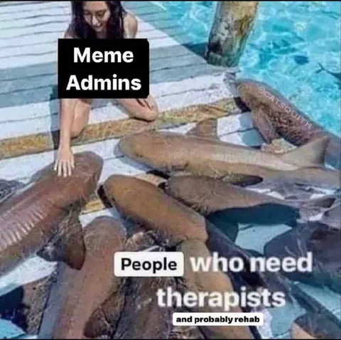 Meme Admins and Therapy Seekers