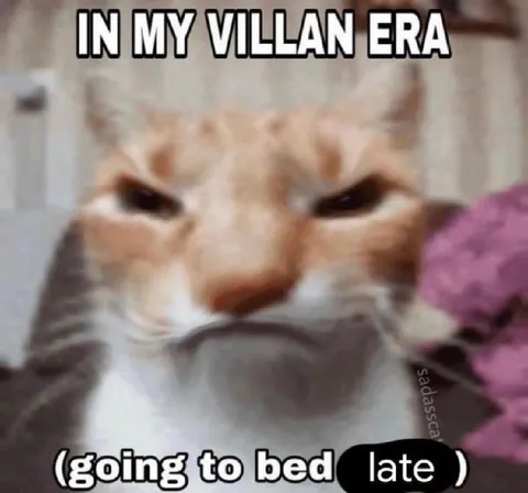 Cat in My Villain Era