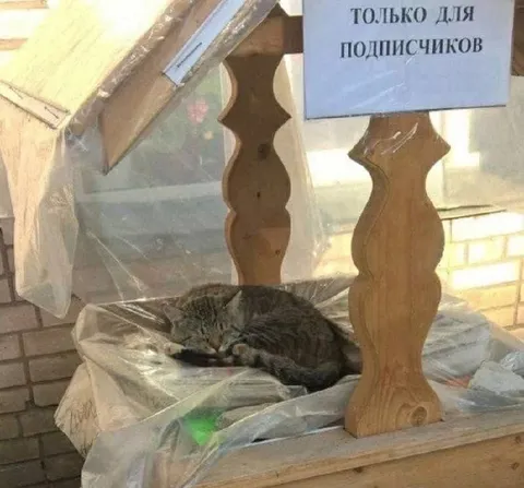 Только для подписчиков
