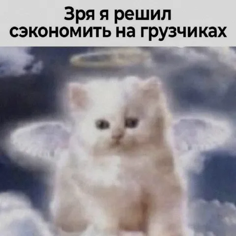 Сэкономил на грузчиках