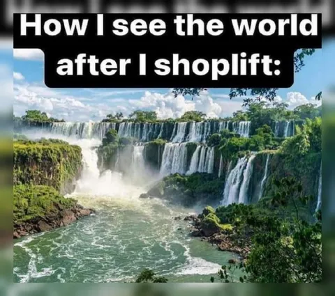Shoplifting Makes the World Beautiful