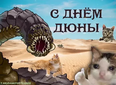 С Днём Дюны с котиками