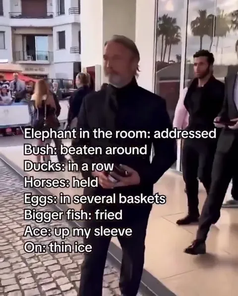 Mads Mikkelsen Idiom List