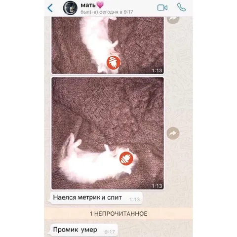 Промик умер после метрика