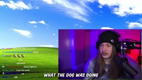 What the Dog Was Doing