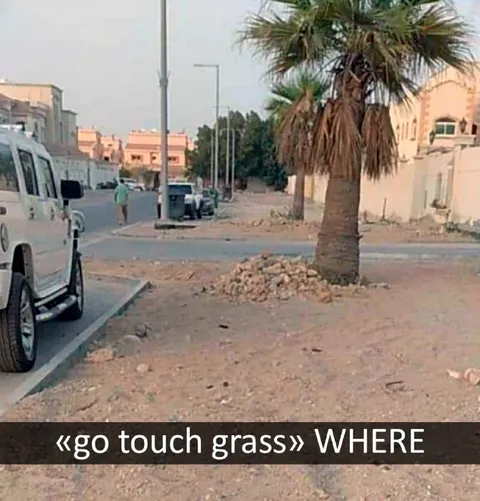 Go Touch Grass Where