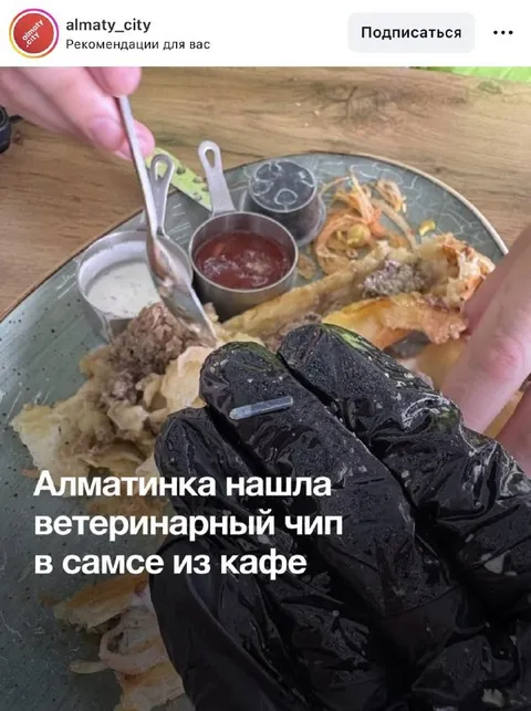 Ветеринарный чип в самсе