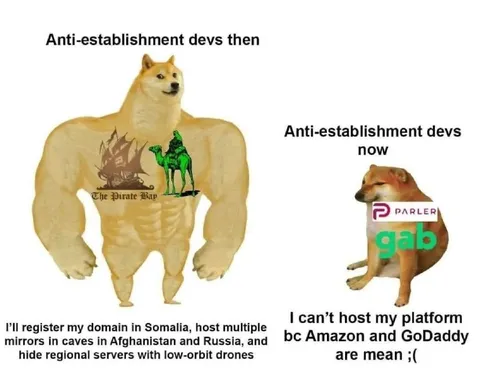 Anti-establishment devs then and now