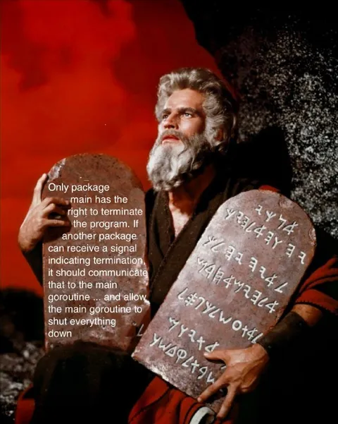 Only Main Package Can Terminate