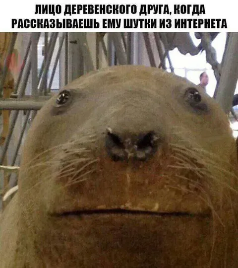 Лицо деревенского друга