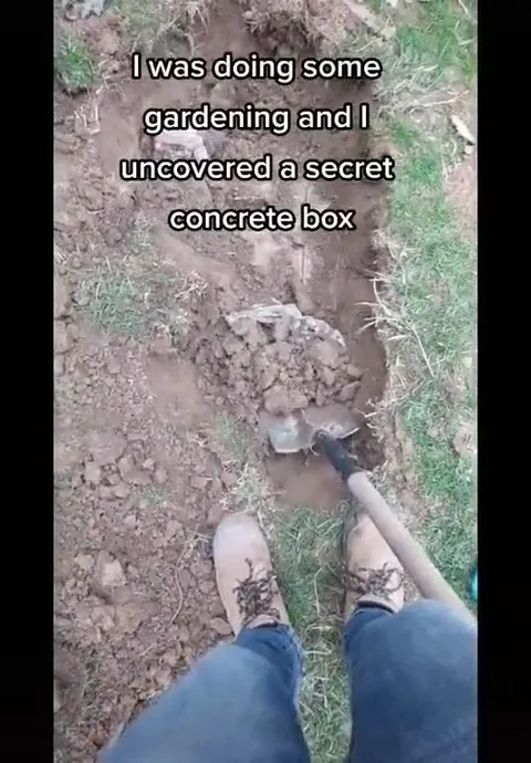 Gardening Uncovers Septic Tank