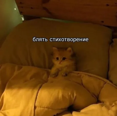 Котёнок пишет стихотворение