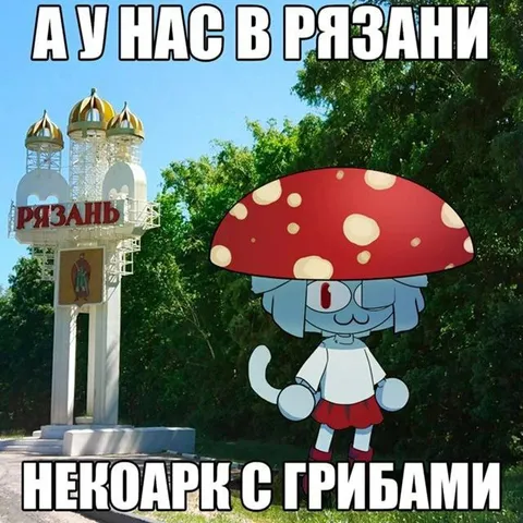 Некропарк с грибами