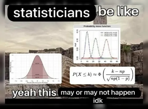 Statisticians Be Like