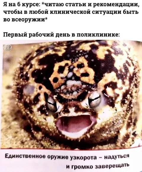 Первый рабочий день узкорота