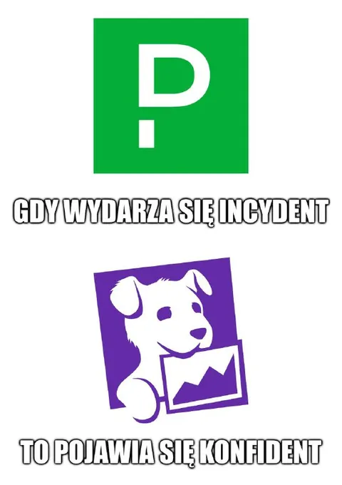 Pewny siebie pies po incydencie
