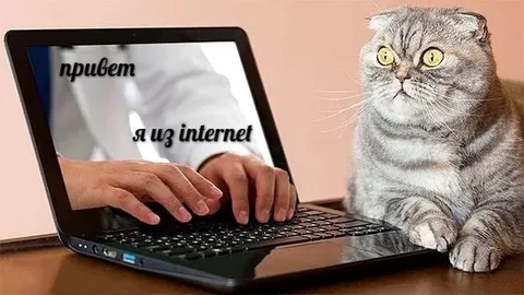 Я из интернета