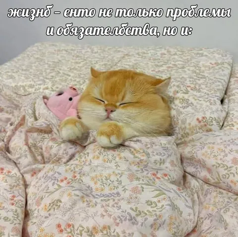 Жизнь — это не только проблемы