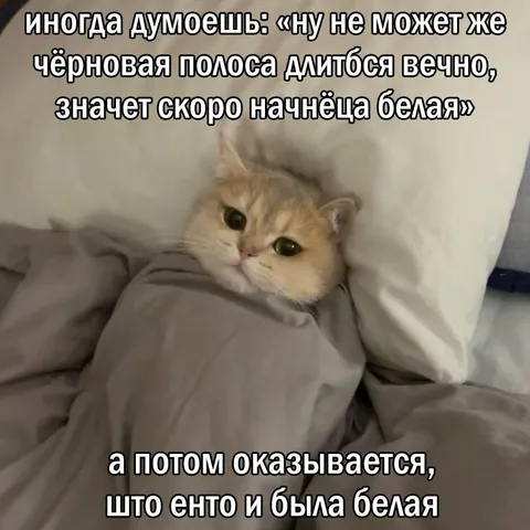 Чёрная полоса оказалась белой