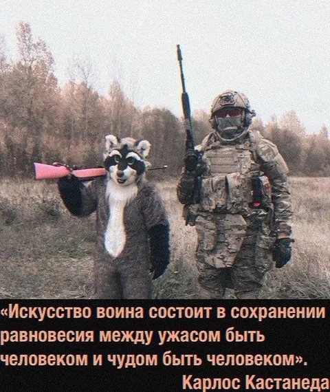 Искусство воина и баланс